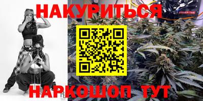 a pvp Ставрополь