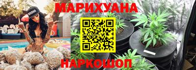 a pvp Ставрополь