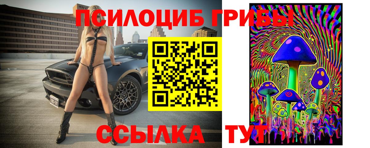 Галлюциногенные грибы MAGIC MUSHROOMS Кулебаки