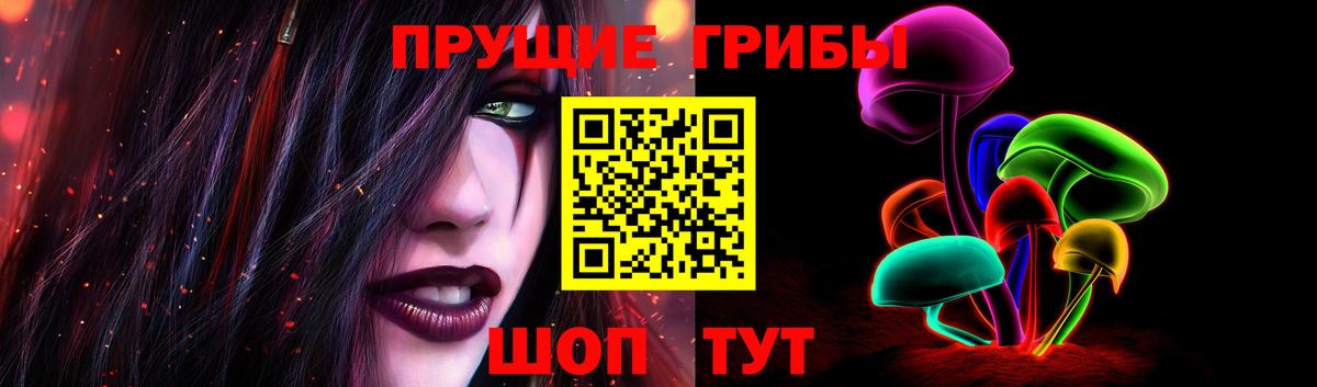 Галлюциногенные грибы Psilocybe  Вход с VPN  наркотики  Кулебаки  Галлюциногенные грибы мицелий 